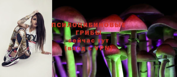 гашиш Новодвинск