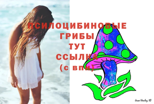 скорость Новозыбков