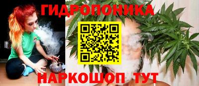 трава Балахна