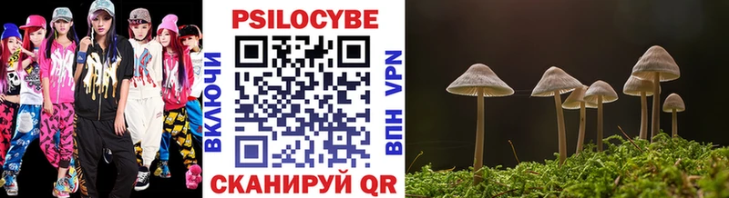 Псилоцибиновые грибы Cubensis  Саров 