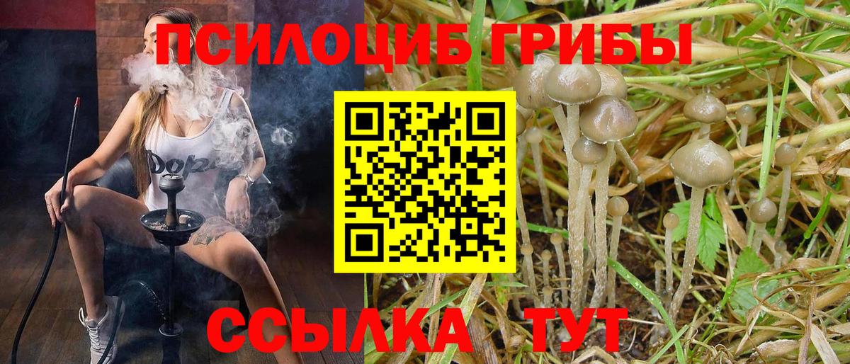 Галлюциногенные грибы мицелий  Вход с VPN  Саров 