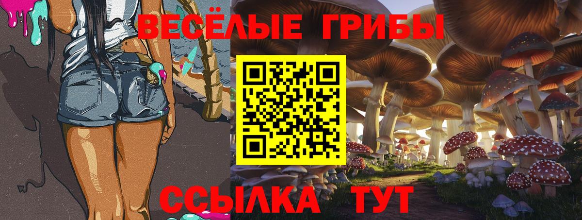 Псилоцибиновые грибы Cubensis  продажа наркотиков  Саров 